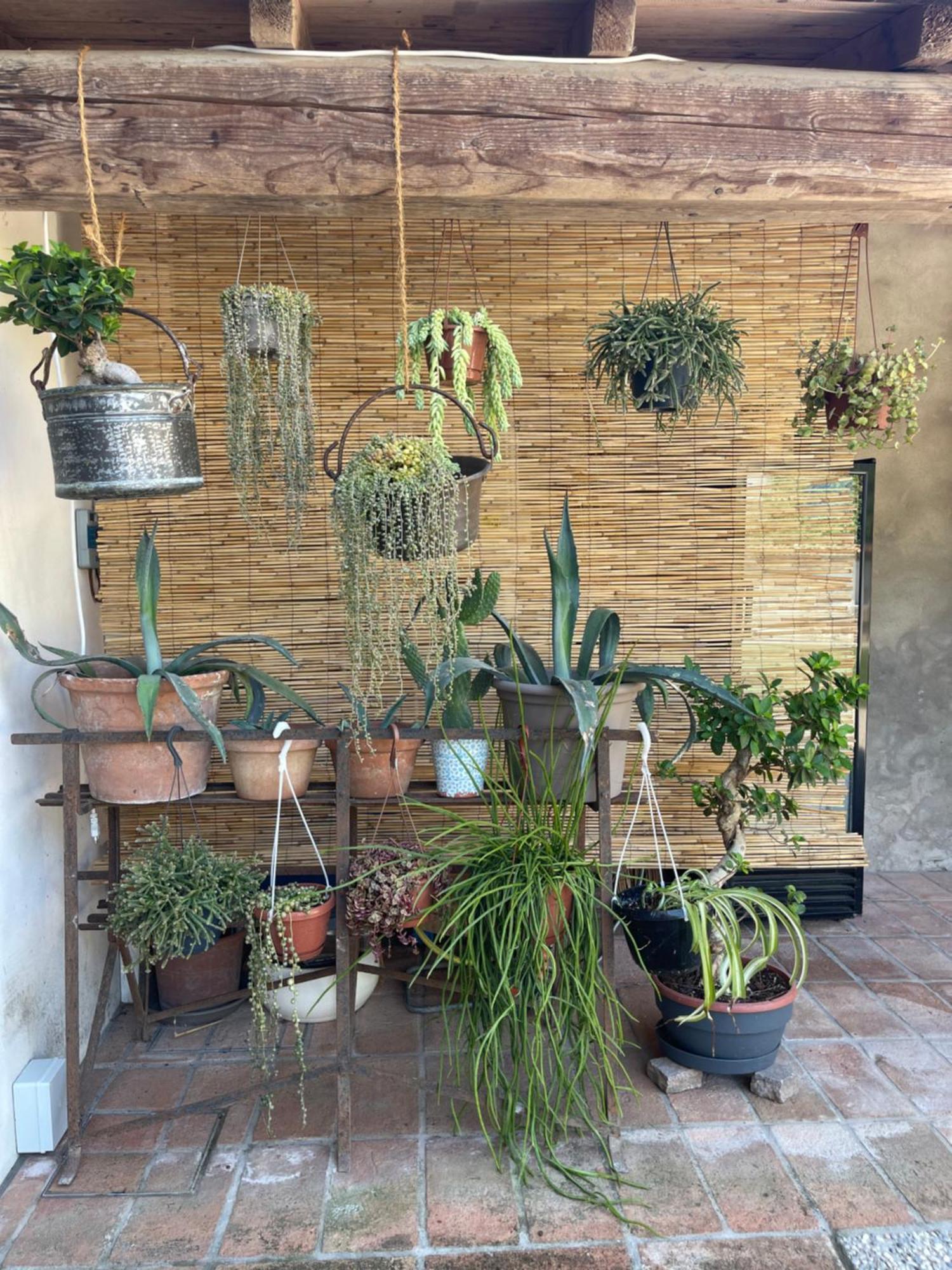 Lamirage - Una Vera Oasi Di Pace Appartement Bozzolo Buitenkant foto